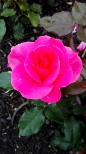 IMG-20161114-WA0179
