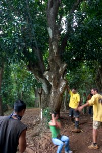 Kipu Ranch Adventures