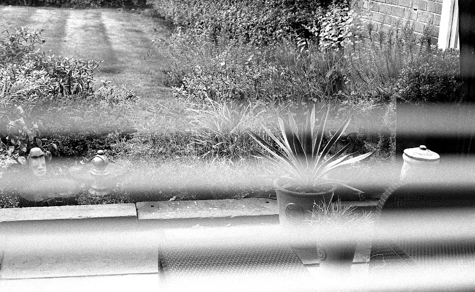 Black&WhiteFilm4021