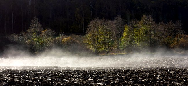 Morning mist lifting from plowed field 3 photo