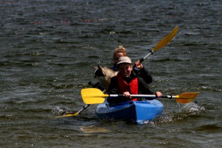 IMG 5253