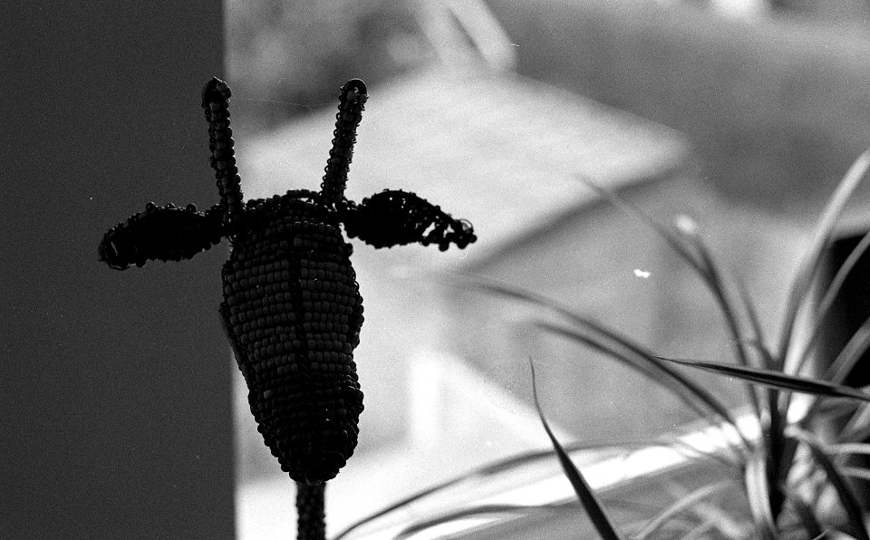 Black&WhiteFilm4032