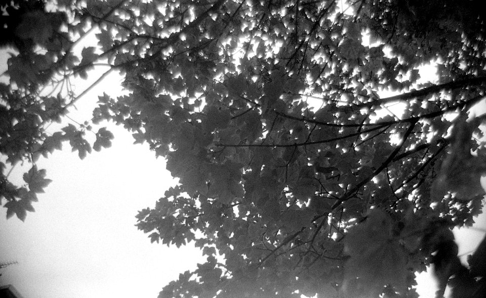 Black&WhiteFilm1012