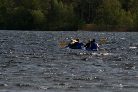 IMG 5239