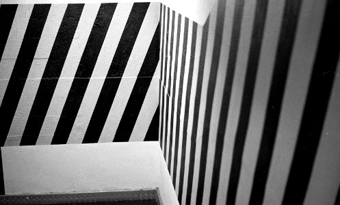 Black&WhiteFilm3024 photo
