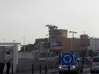 Mirador del Puerto. Tarifa (Cádiz) photo