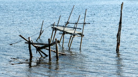 Collapsed jetty in Norrkila bay photo