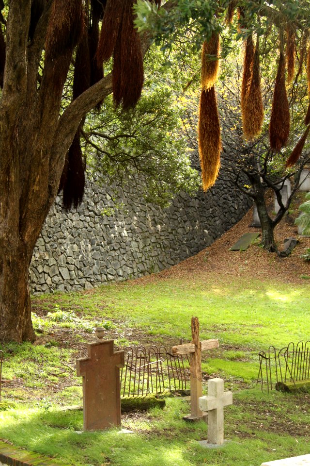Settlers graveyard, Wellington