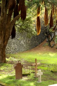 Settlers graveyard, Wellington