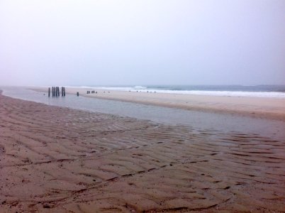 Sylt photo