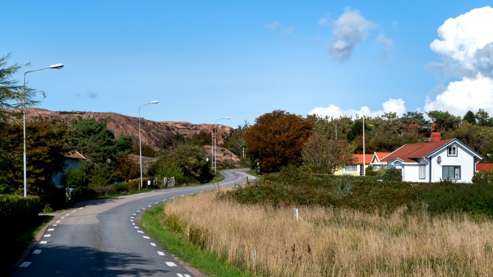 Road in central Skalhamn photo