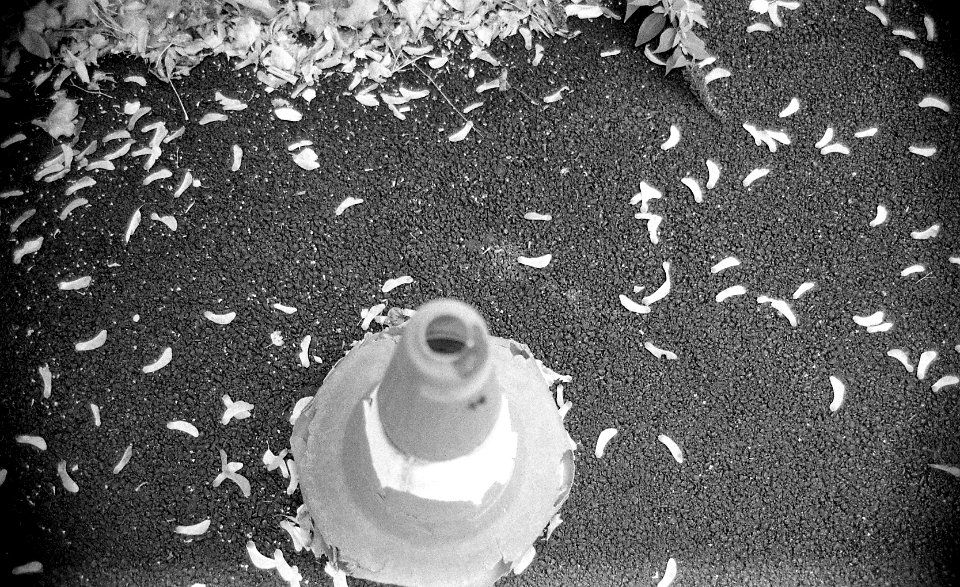 Black&WhiteFilm1019