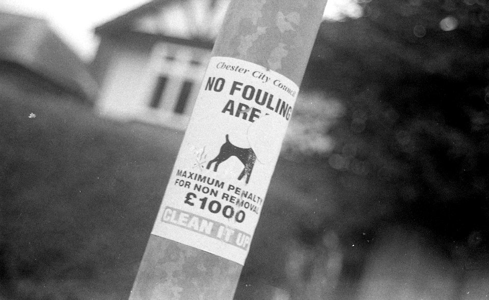 Black&WhiteFilm1030