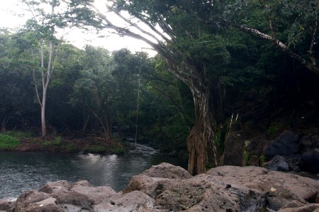 Kipu Falls, Kipu, Kauai