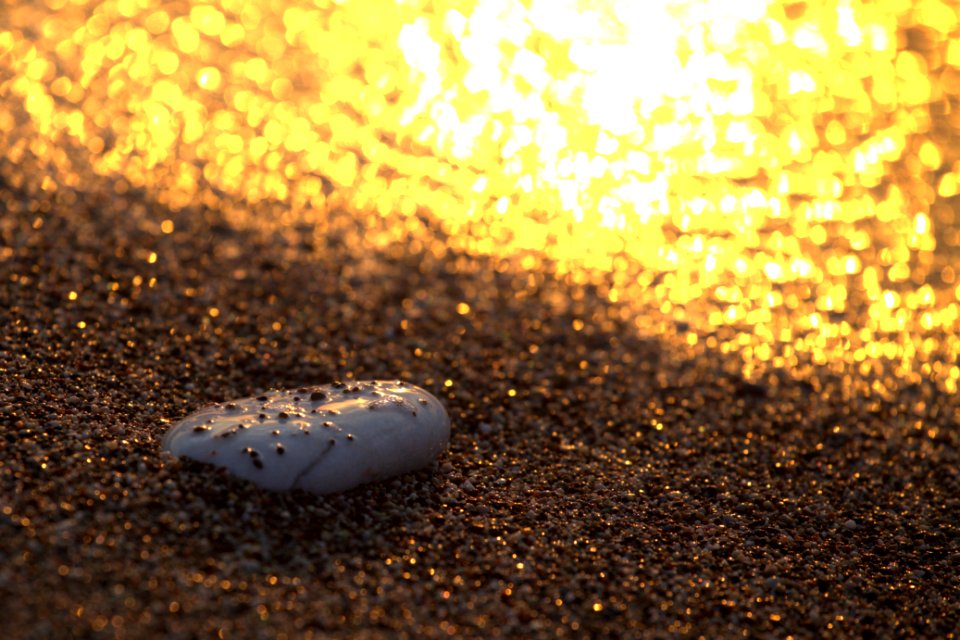 A lonely stone