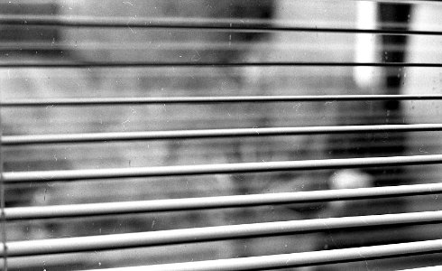 Black&WhiteFilm4022 photo