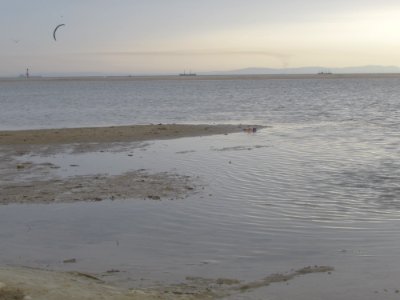 Playa de los Lances. Tarifa (Cádiz) photo