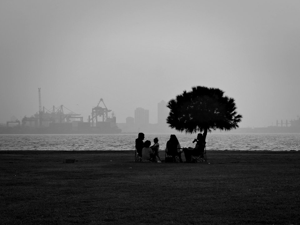 DSCF8505-x