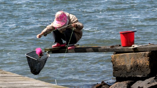 Woman fishing for shore crabs 5 photo