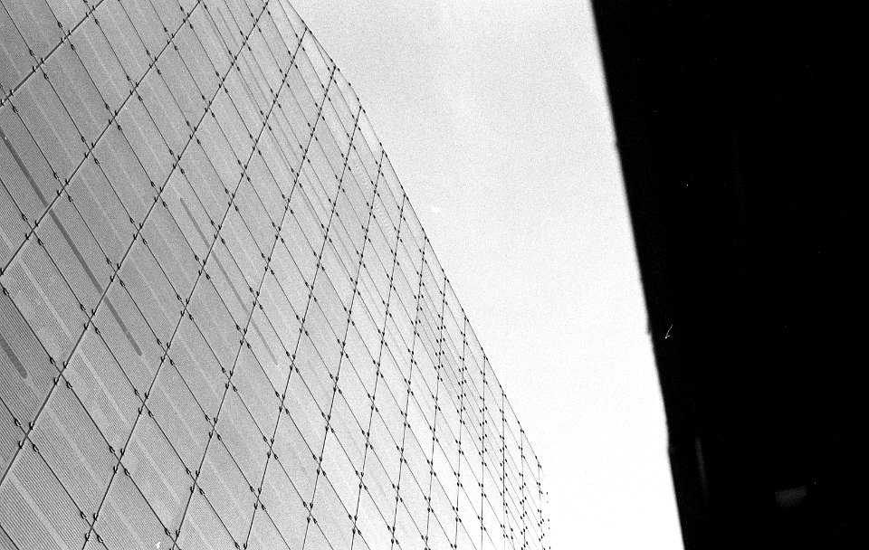 Black&WhiteFilm3033