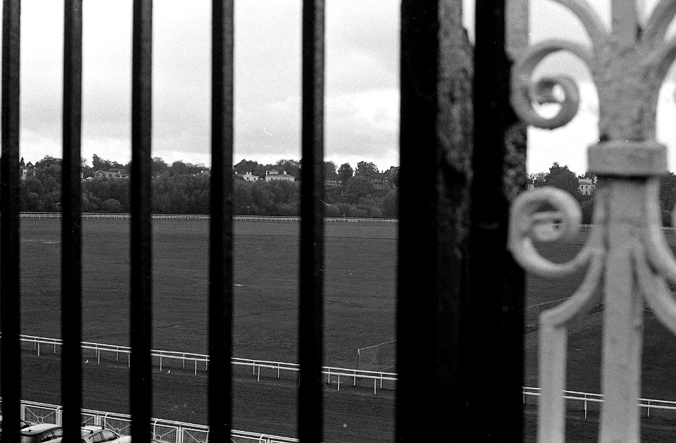 Black&WhiteFilm2006