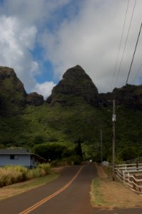 Kong