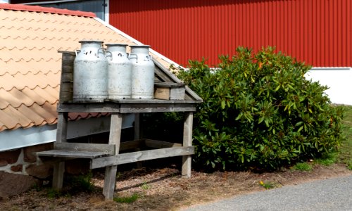 Old milk cans in Immestad photo