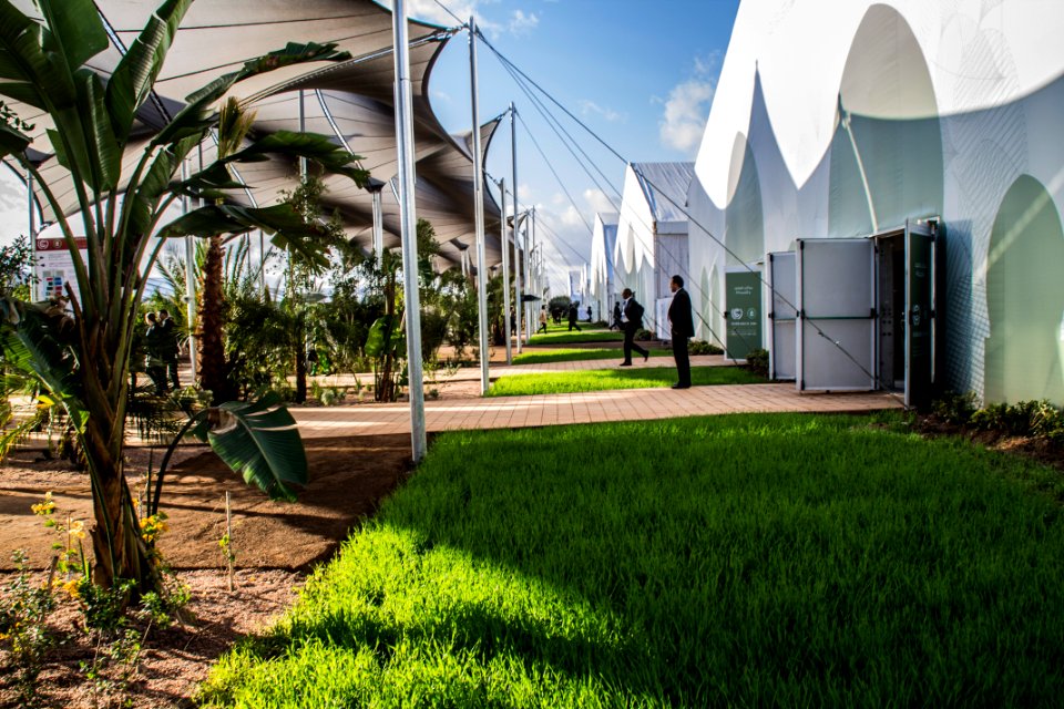 COP22 in Marrakech