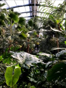 botanic garden