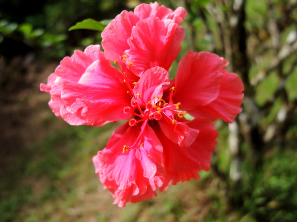 DSCN1456