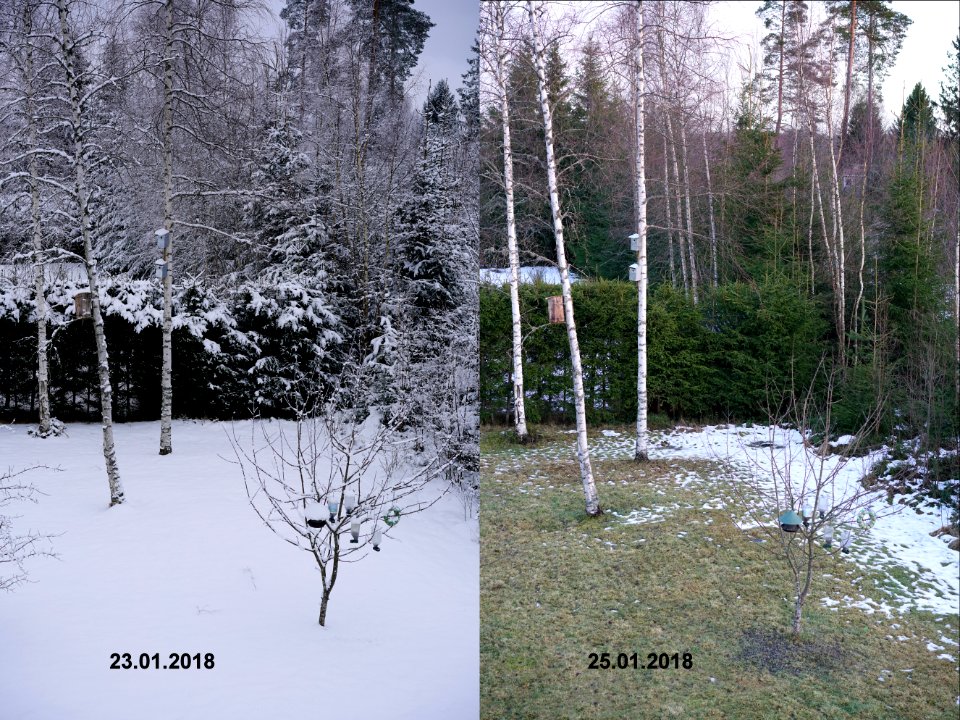 Sudden climate change