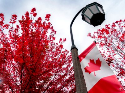 Ohhhhh, Canada