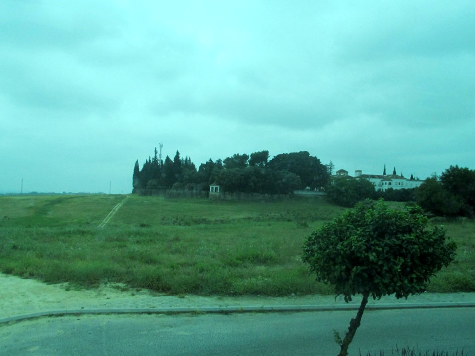 Castilleja de Guzmán (Sevilla)