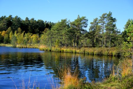 Savojaervi21