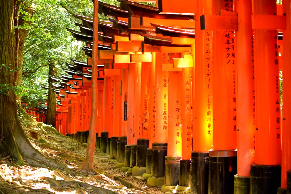 Fushimi Inari-taisha Torii