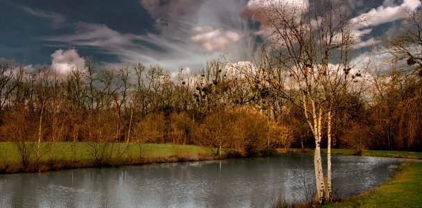 au bord d'un étang