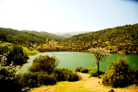 Efemçukuru