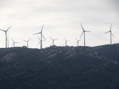 Monte de la Peña.