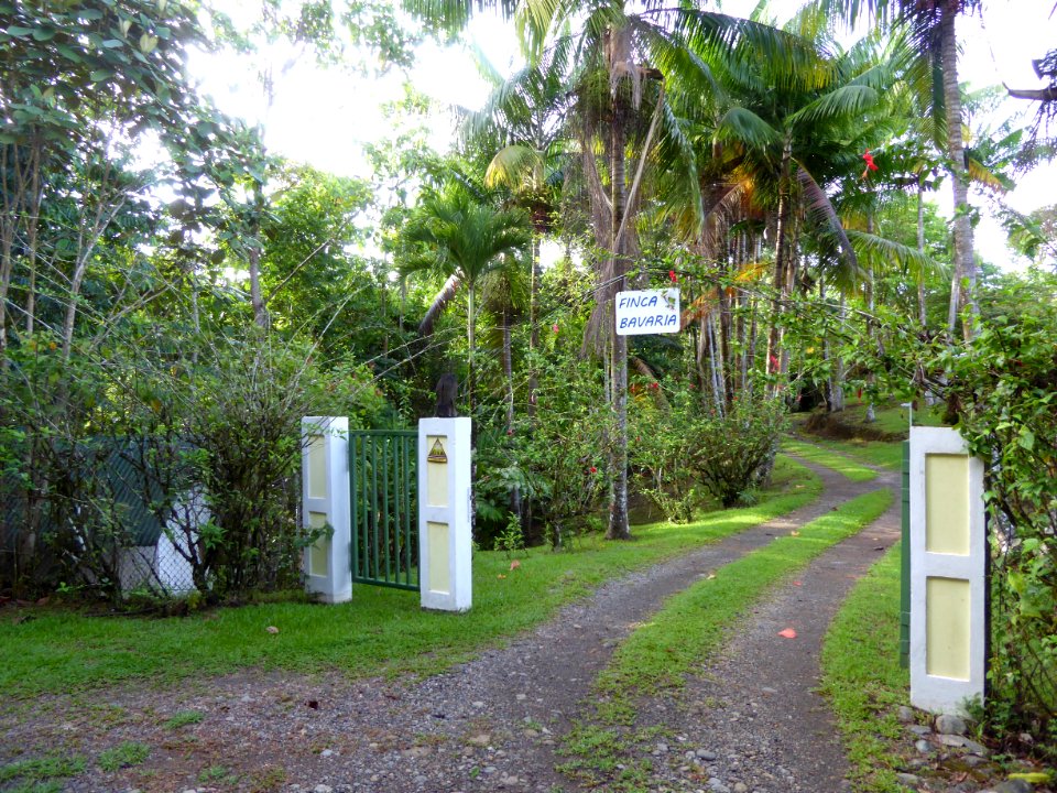 P1000230
