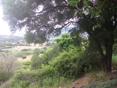 Santuario de la Luz photo