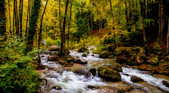 le" Herisson" , petit torrent qui fait suite a 7 cascades, devient un torrent rapidement calmé par un petit lac photo