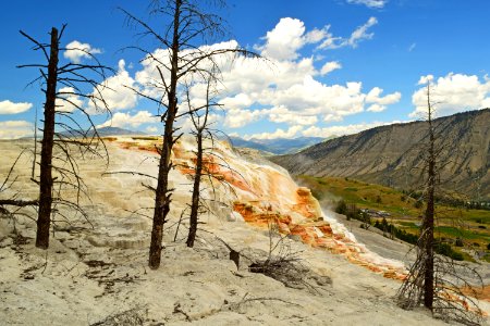 Yellowstone 2