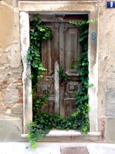 Nature reclaims an old door