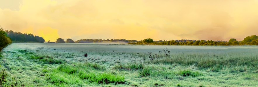 a misty morning on the plain photo