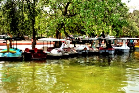 Lake in New Delhi