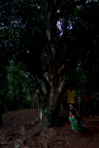 Kipu Ranch Adventures