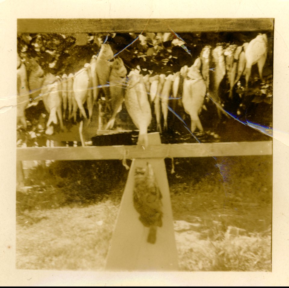 The Catch