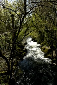  DSC0555