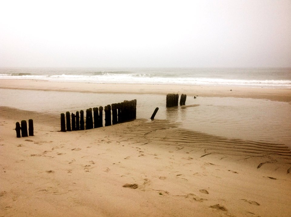 Sylt photo