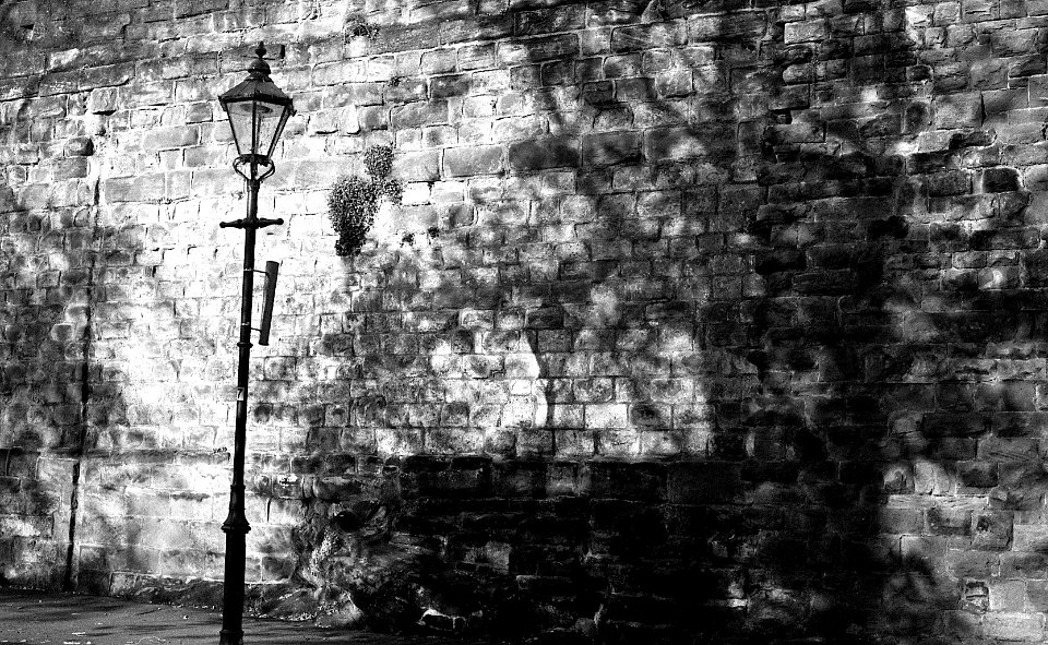 Black&WhiteFilm2010